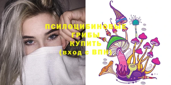 крисы Нея