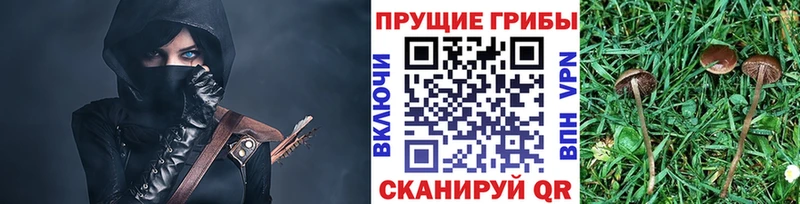 Псилоцибиновые грибы MAGIC MUSHROOMS  Мышкин 